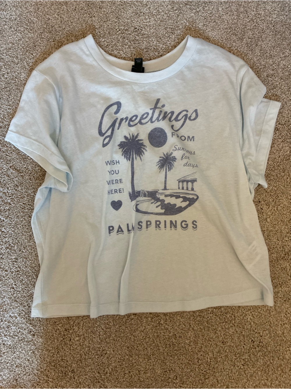 wild fable Light Blue Palm Springs Graphic Tee